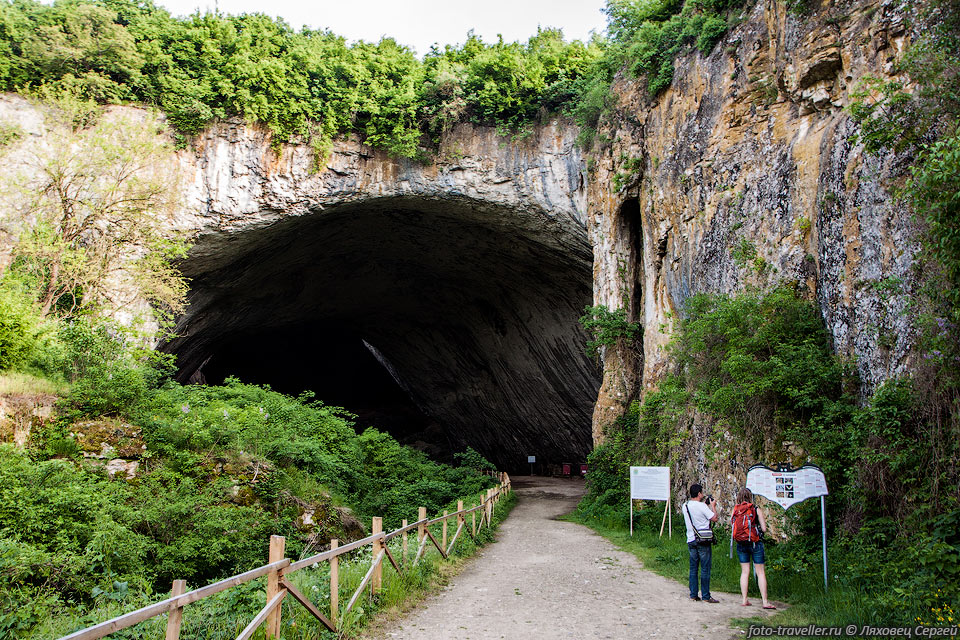 Пещера Деветашка (Devetashkata Cave, №0517 БФСп).
