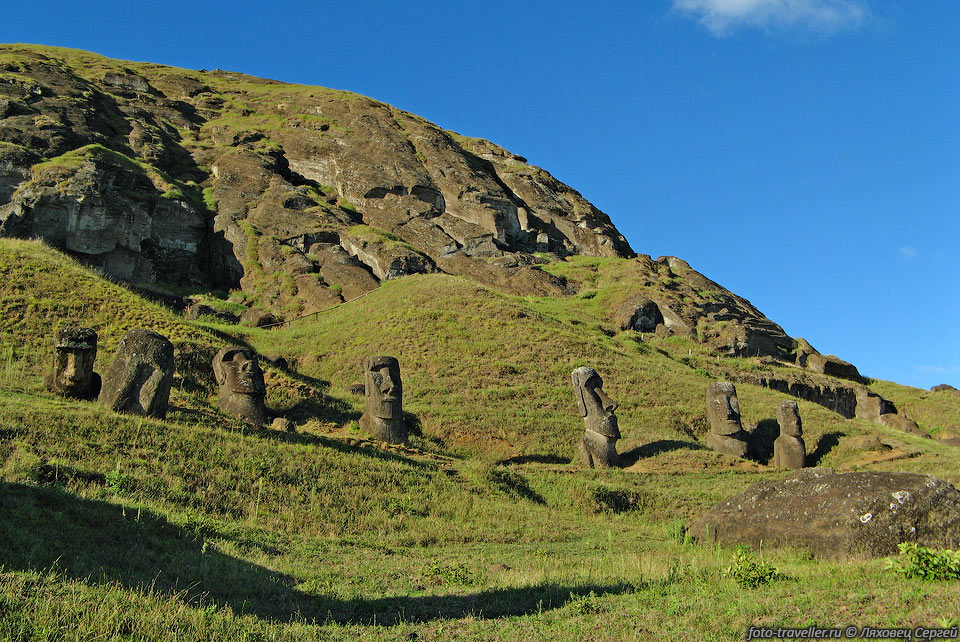 На склоне Рано Рараку стоит около семидесяти почти законченных 
статуй.