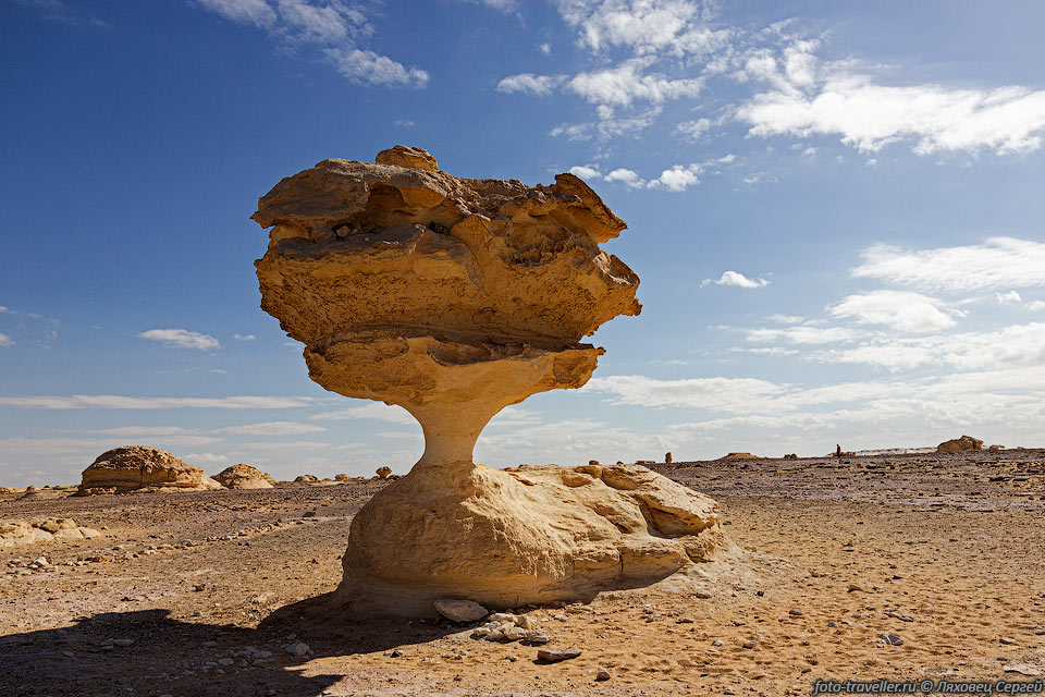Каменный гриб
