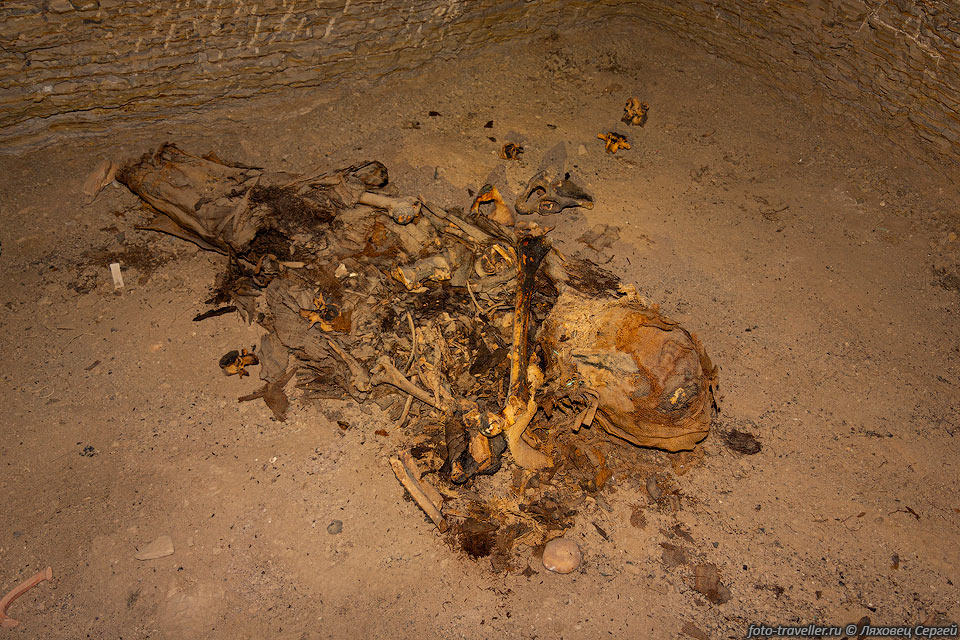 Мумия в одной из гробниц