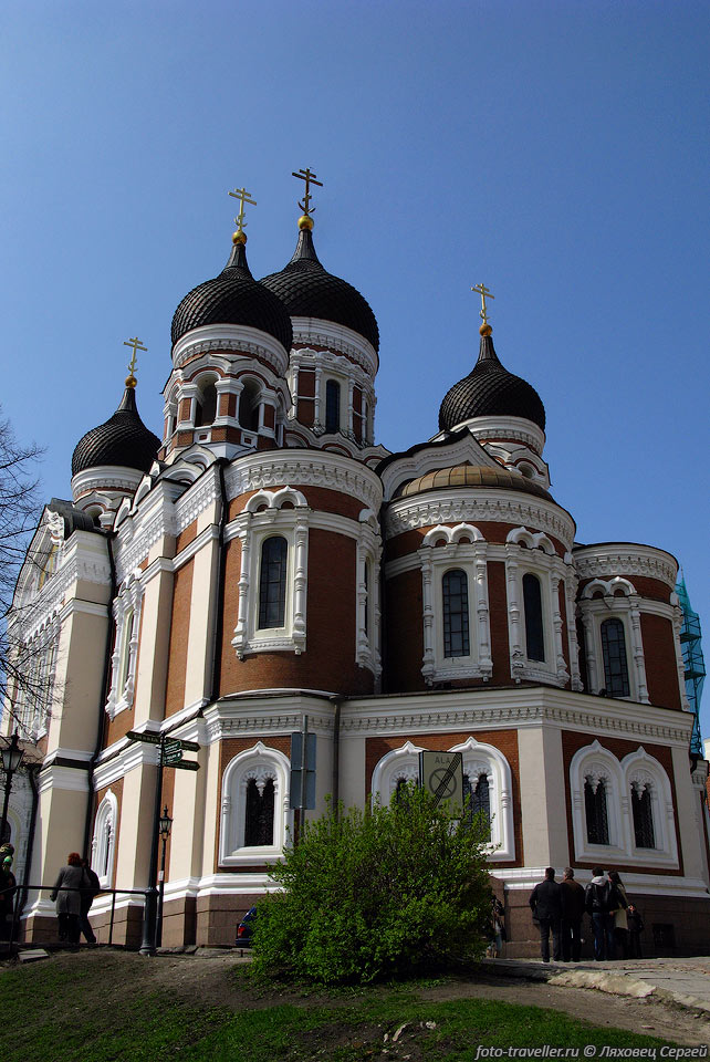 Собор Александра Невского в Таллине расположен на холме Тоомпеа 
(Вышгород, Тоомпеа, Toompea).