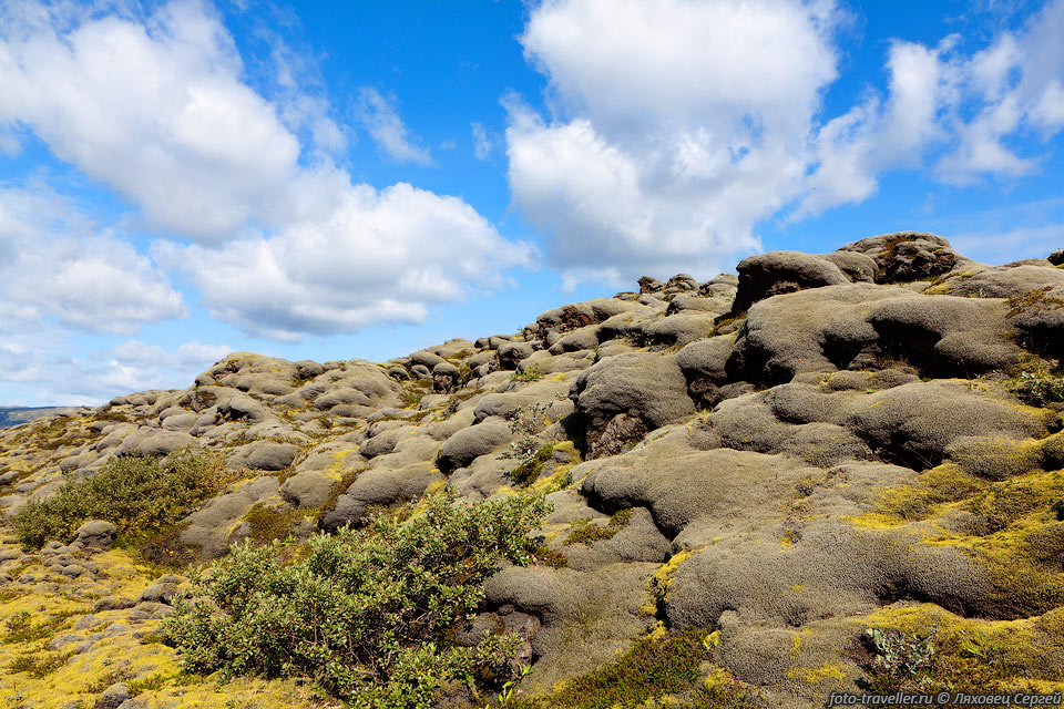 Глубокий исландский мох покрывает собой лавовые поля.
Провалится можно по колено. А если попасть между камнями, то наверно и по шею.