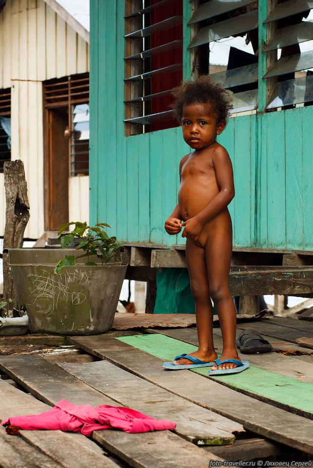 Индонезийский ребенок.
Поселение на берегу озера Сентани.