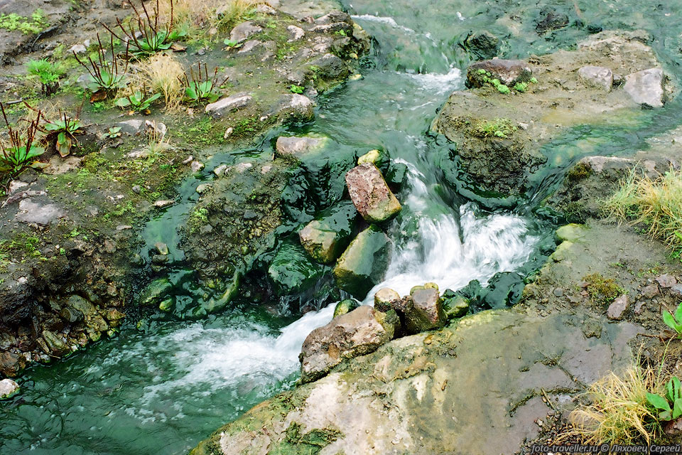 Зеленая река, вытекающая из горячих источников Академии Наук.
