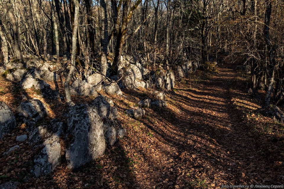 Римская дорога в Карадагском лесу.
Когда-то дорога соединяла римскую крепость Харакс, расположенную на мысе Ай-Тодор 
с греческим полисом Херсонесом.