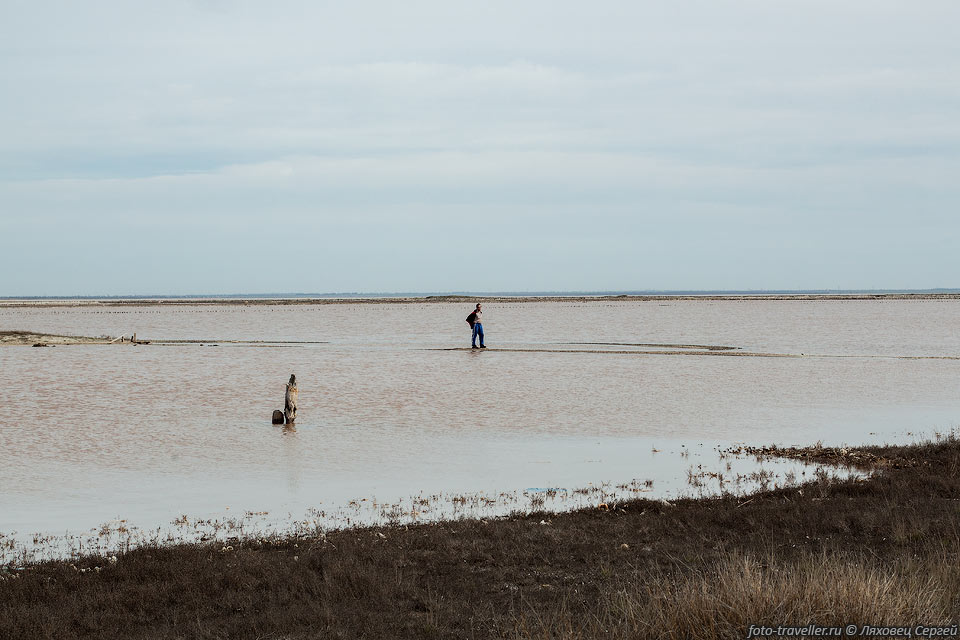 Воды в озере Сасык-Сиваш весной очень много, по нему не погуляешь