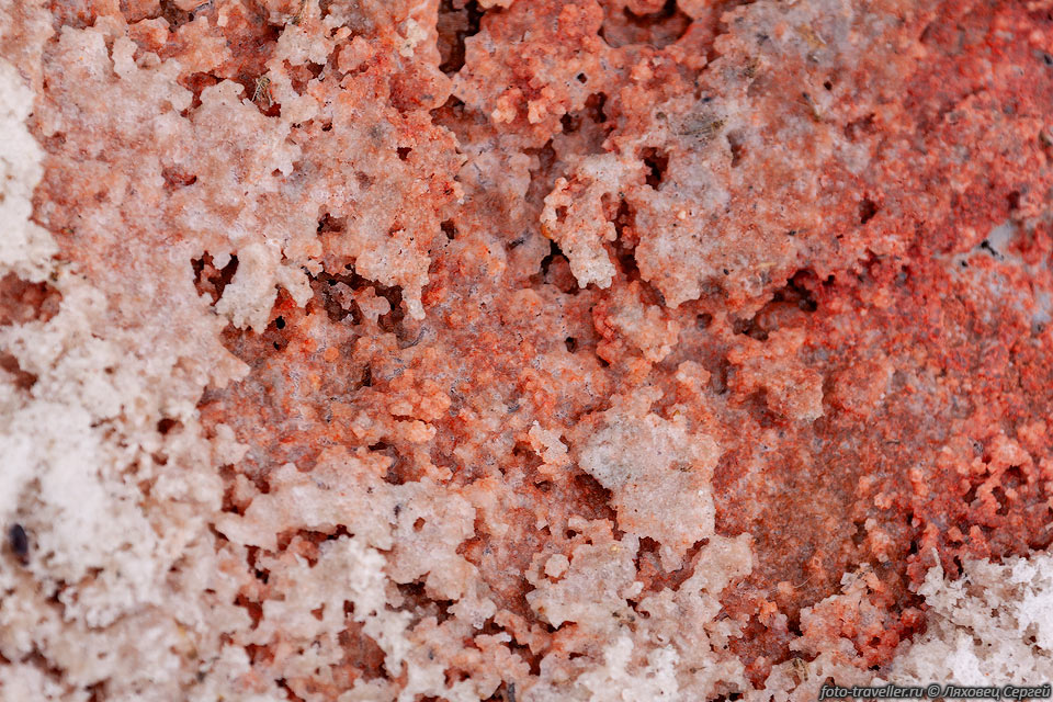 Красная соль на озере Сасык