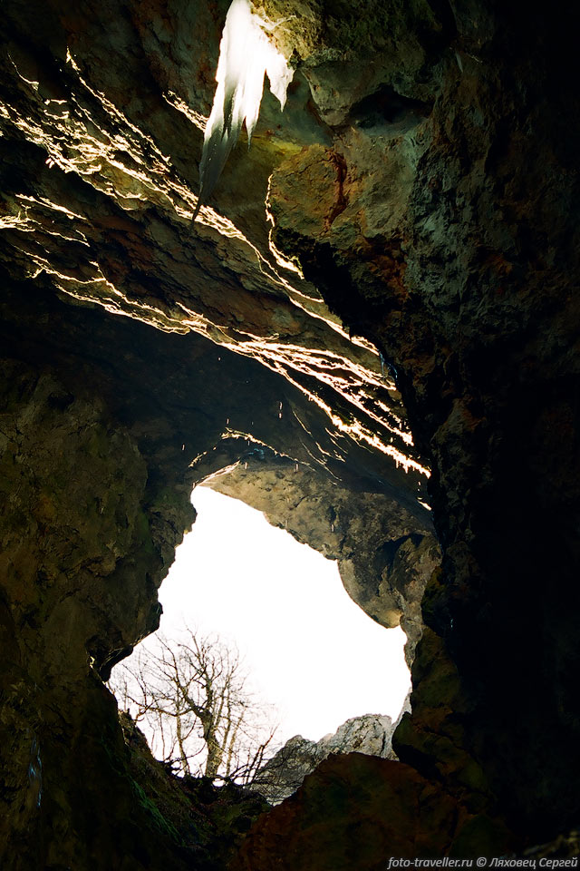 Вход с деревом в пещере Большой Бузлук