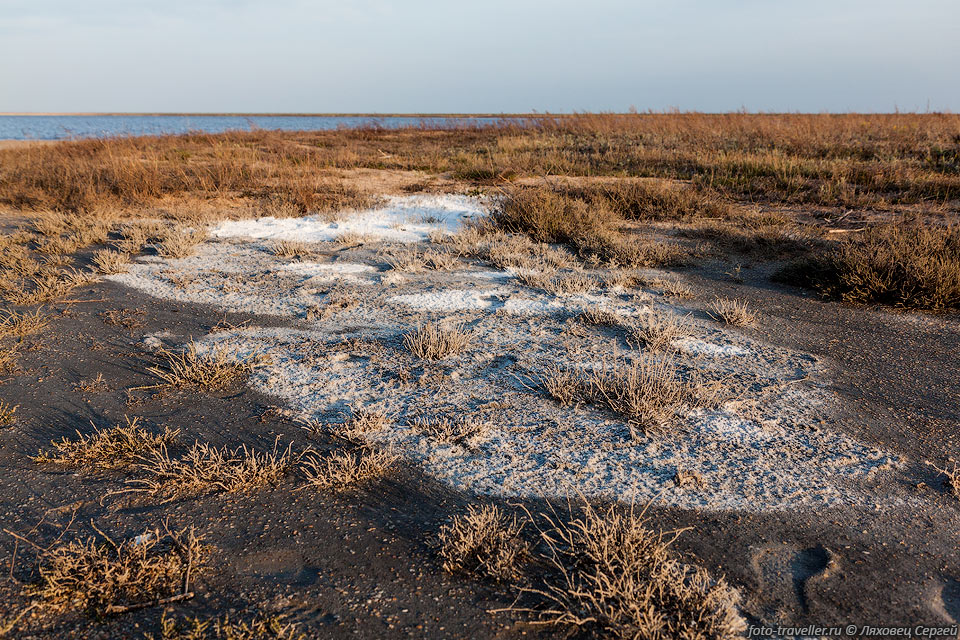 Отложения соли на берегу Кояшского озера