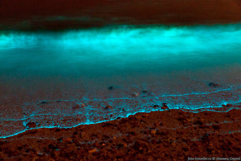 Свечение планктона (биолюминесценция, фосфоресценция).
Планктон начинает светиться в местах механического воздействия на него.