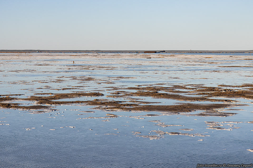 Питание озера Баскунчак происходит в основном за счет соленых 
источников, которые приносят в озеро до 900 000 тонн солей в год. Солёность озера 
около 300 г/л. Мощность поверхностной залежи соли на озере достигает 10-18 м. Глубина 
залегания соли достигает 6 км. Весной и осенью уровень рапы в озере максимальный 
- до 1 метра. В рапе обитают только особые бактерии.