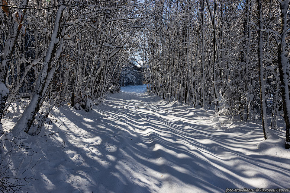 Засыпанная снегом дорога