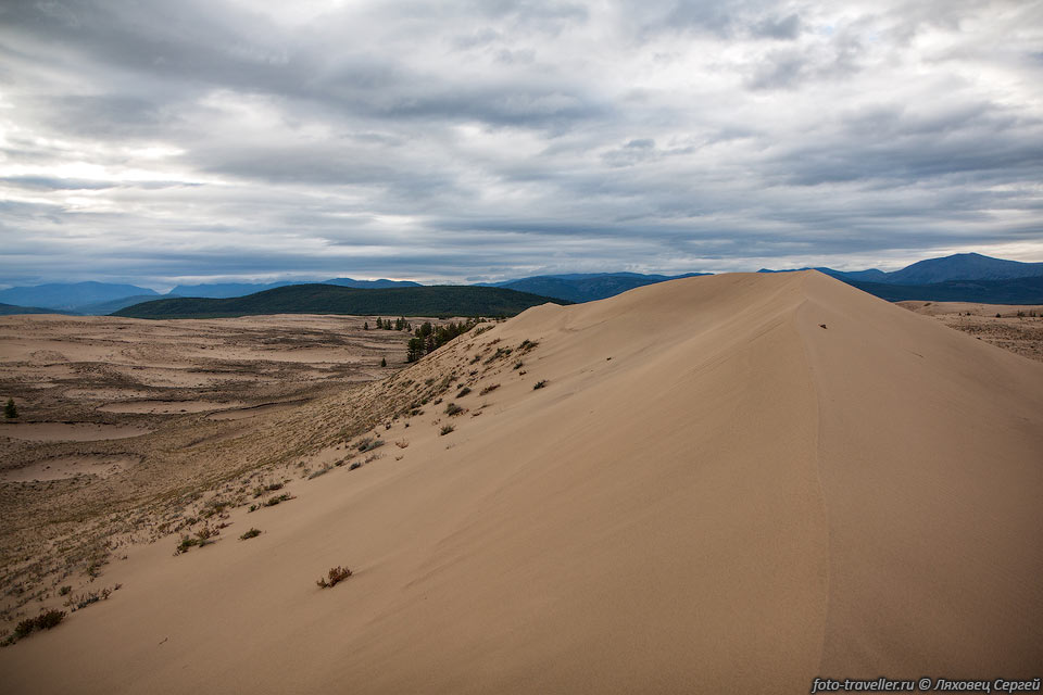 Чарские пески вытянуты с юго-запада на северо-восток в направлении

господствующих ветров и занимают площадь около 50 км2