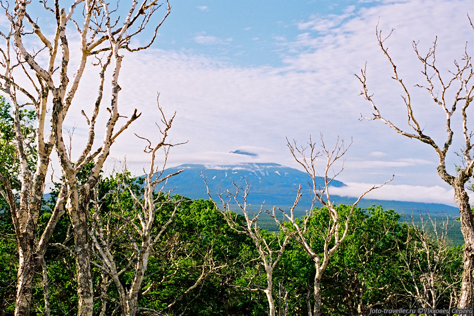 Остров Итуруп - самый большой из остовов Курильской островной 
дуги.