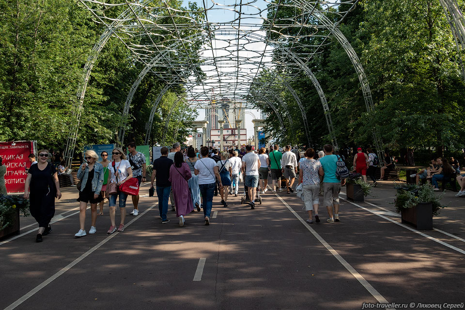 Парк Сокольники расположен на северо-востоке Москвы.