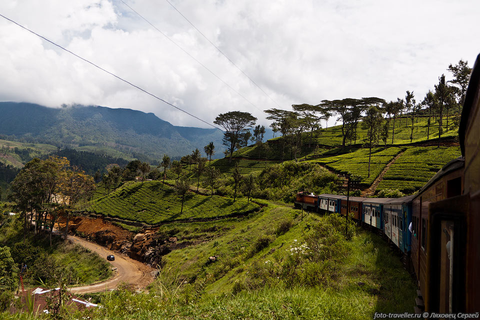 Поезд едет по очень живописным холмам с плантациями чая и мелкими 
деревушками