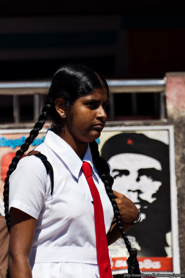 По переписи 2001 года в Шри-Ланке грамотны 92% мужчин и 89% женщин