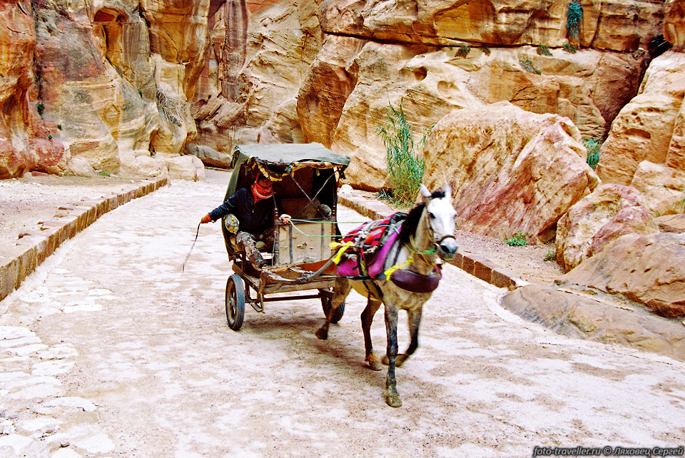 По ущелью можно пройти пешком либо проехать на повозке или верблюде,

что и предлагают за денюжку сделать навязчивые "экскурсоводы". 