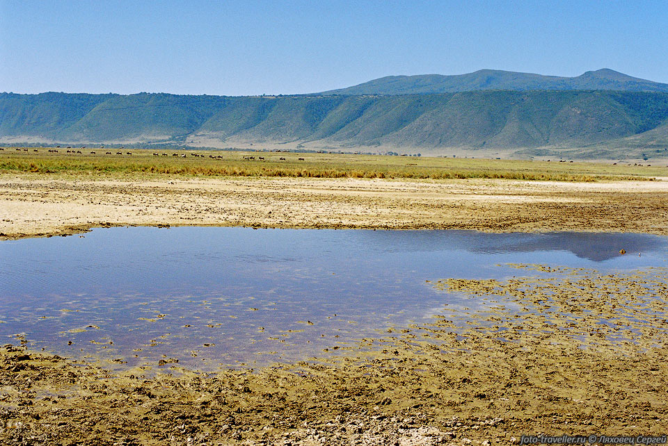 Резерват, раскинувшийся вокруг кратера Нгоронгоро огромен, он 
охватывает площадь около 6500  км2.