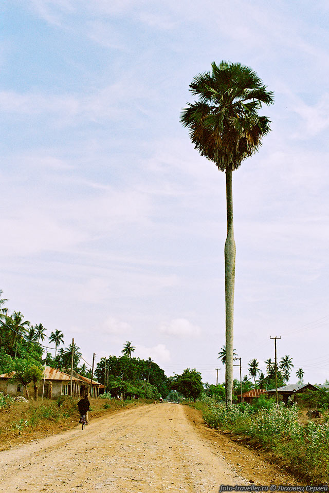 Проселочная дорога ведущая из города Танга в поселок Тонгони