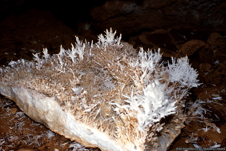 Плита, оторвавшаяся от потолка и обросшая каменными цветами.

Пещера Кузгун. Глубина примерно 300 м.