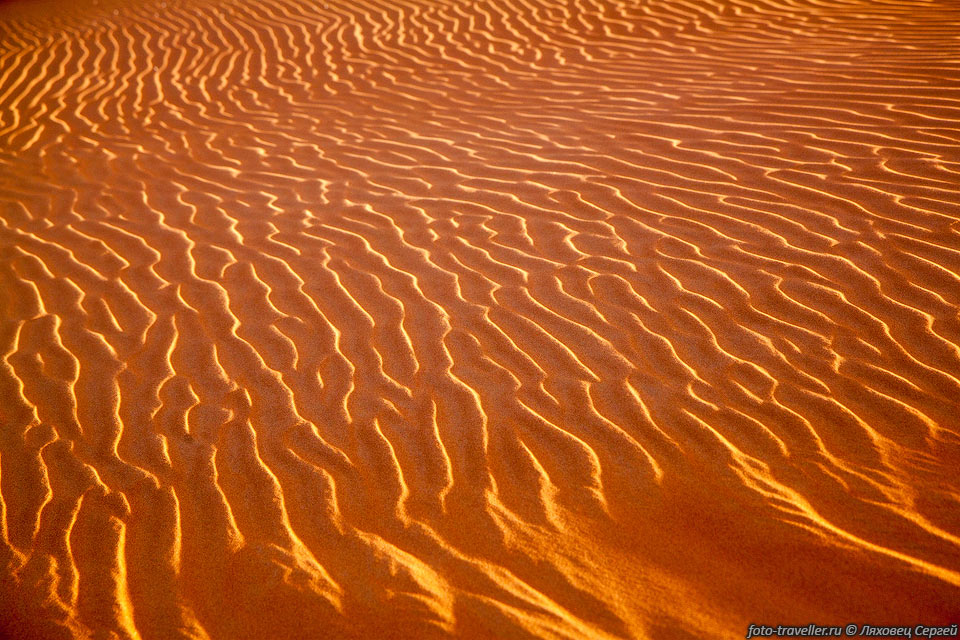 Песок преимущественно силикатный, от 80 до 90% составляет кварц, 
остальное - полевой шпат.
Крупицы полевого шпата, покрытые окисью железа, окрашивают пески в оранжевый и красный 
цвет.
