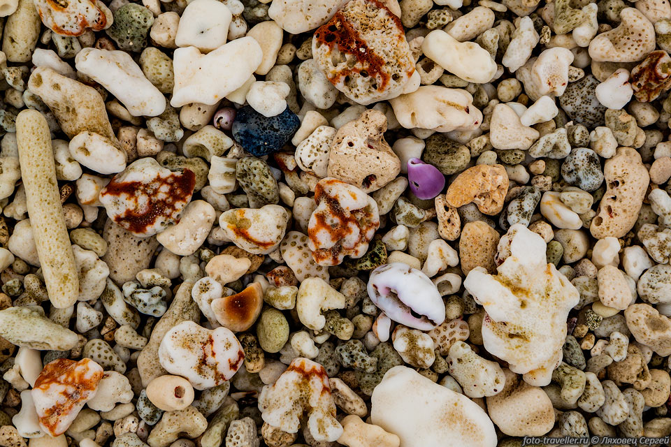 Коралловые камешки.
На пляже Мануро они очень красивые.