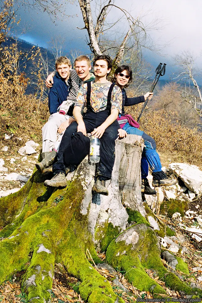 На пеньке