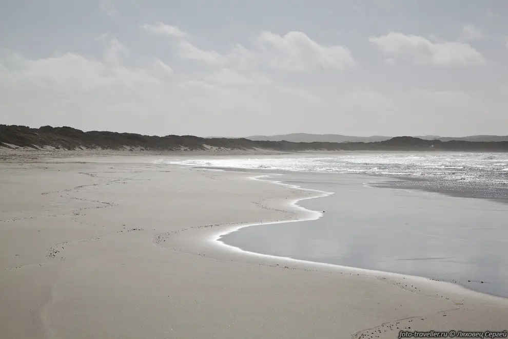 Остров Кенгуру (Kangaroo Island) - концентрация местных достопримечательностей.
Сюда можно попасть на пароме. Страховка на машину, привезенную с материка, тут не 
действует, так что нужно ездить очень аккуратно.
Были свидетелями ДТП с участием русских туристов, все закончилось благополучно. 
Машину они брали на острове, поэтому страховка сработала (машина сильно пострадала).