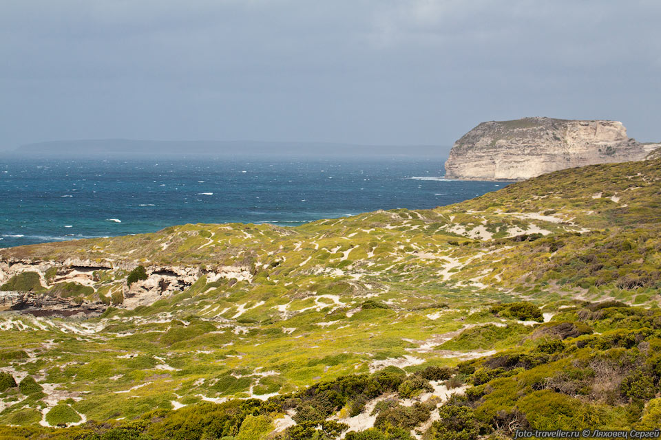 Побережье острова Кенгуру в районе Бухты тюленей (Seal Bay)