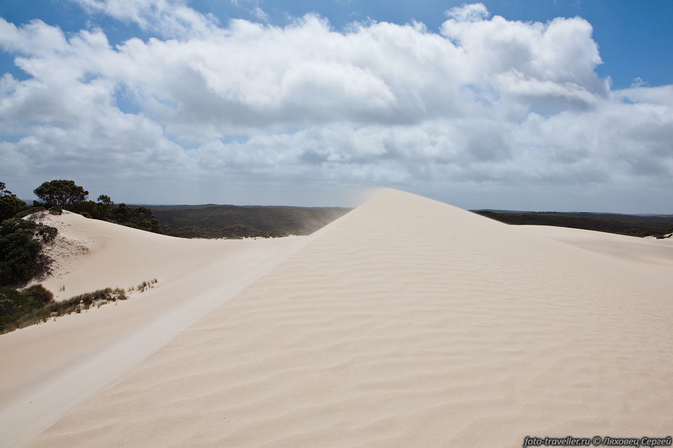 Маленькая Сахара (Little Sahara) на острове Кенгуру