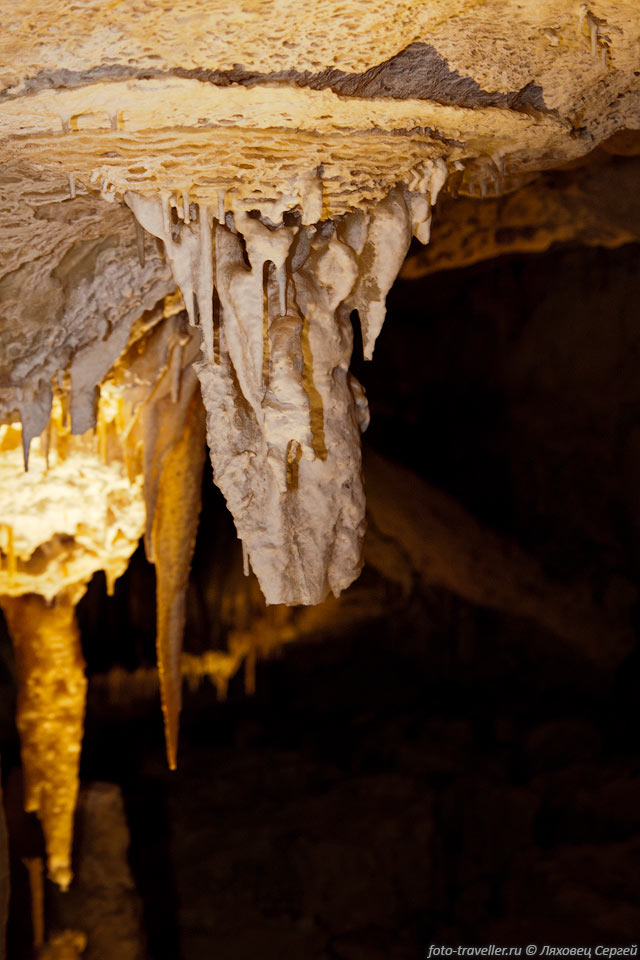 Впервые пещеры обследовал местный житель Гарольд Белл с небольшой 
группой товарищей летом в 1925 и 1926 годах.
Вскоре после этого он был назначен смотрителем, и пещеры были открыты для посещения.