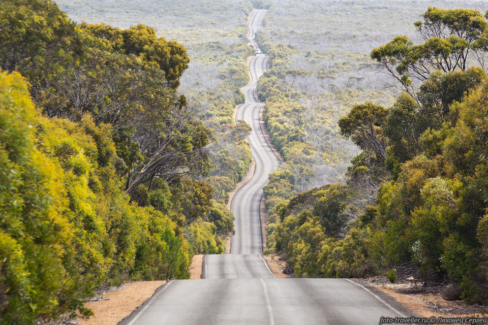 Дорога к юго-западной оконечности острова Кенгуру в Национальном 
парке Флайндерс Чейз (Flinders Chase National Park)