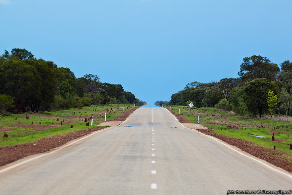Приближаемся к северу Австралии.
Тут дождливый сезон - выжженная пустыня заменяется на зеленую травку и деревья, 
грязь и термитники вдоль дороги.