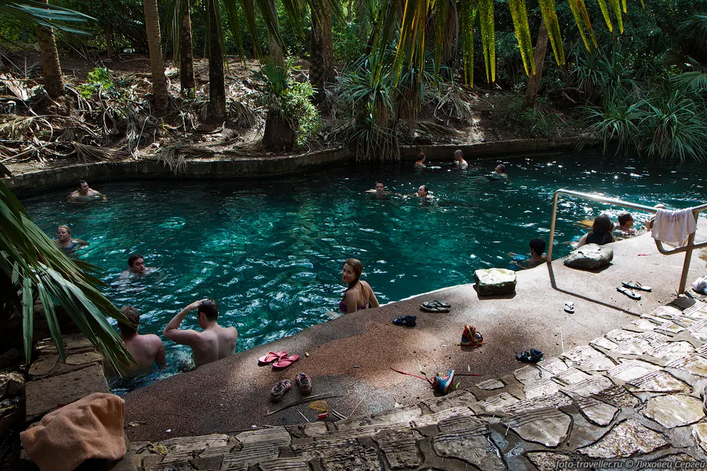 В парке Элси купаемся в горячих источниках Матаранка (Mataranka
Hot Springs).
Источники на самом деле слегка теплые - температура комфорта при окружающей жаре 
(32-34°С).