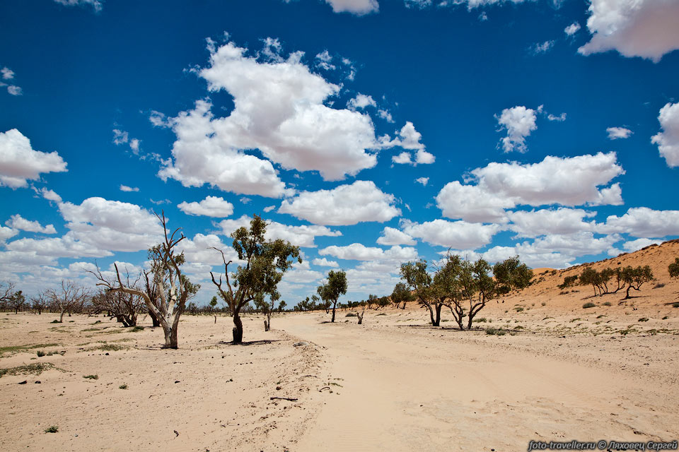 Дорога в пустыне Симпсона (Simpson 
Desert)
