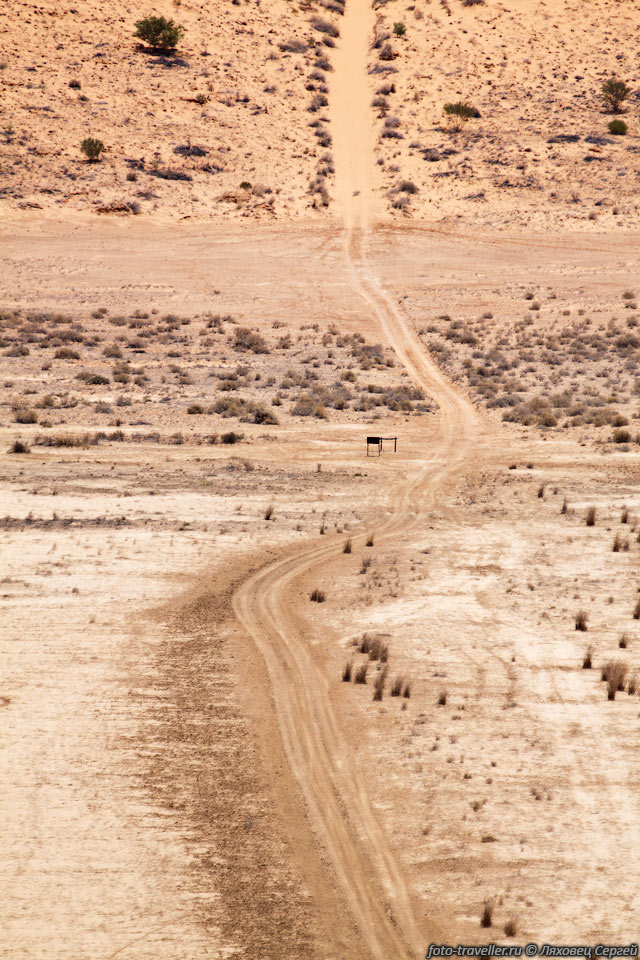 Дорога в пустыне Симпсона переваливает через дюны.
В 1960-70 годах тут искали нефть. Проехать можно только на хорошо подготовленной 
машине.