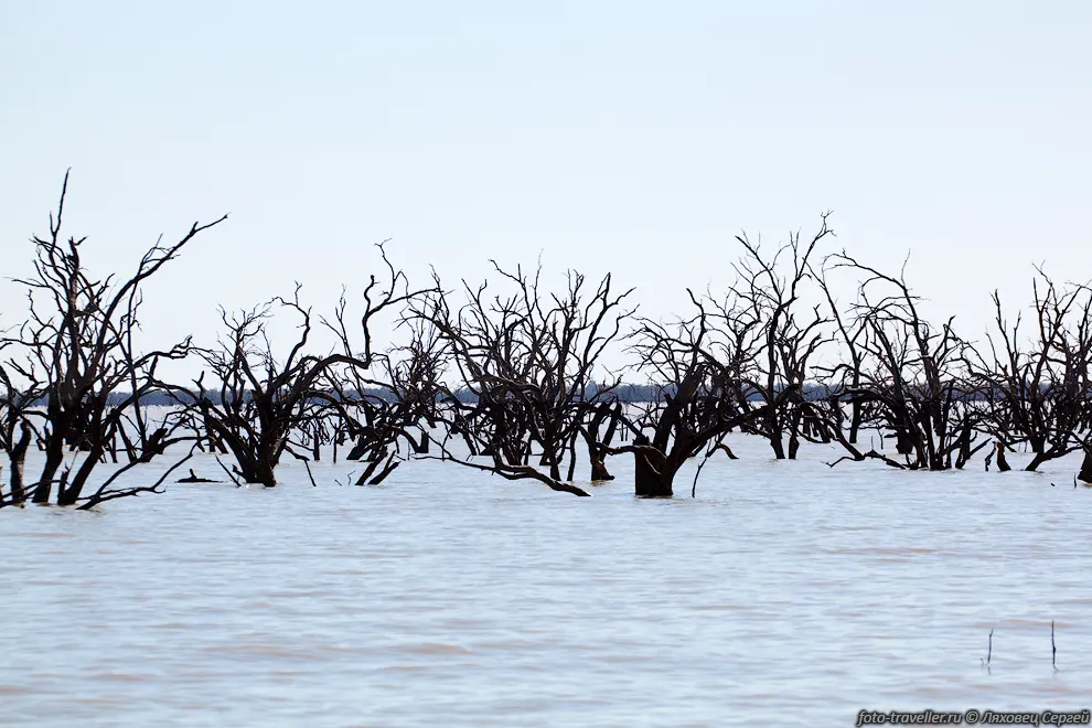 Озеро Пармамару (Lake Parmamaroo) входит в систему озер Менинди
(Lakes Menindee).
Озера используются в качестве водохранилищ.
