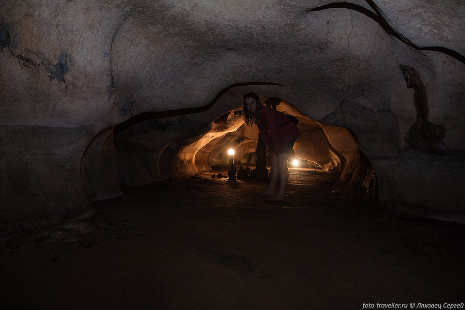 В пещере Орлова Чука обитают летучие мыши редких видов