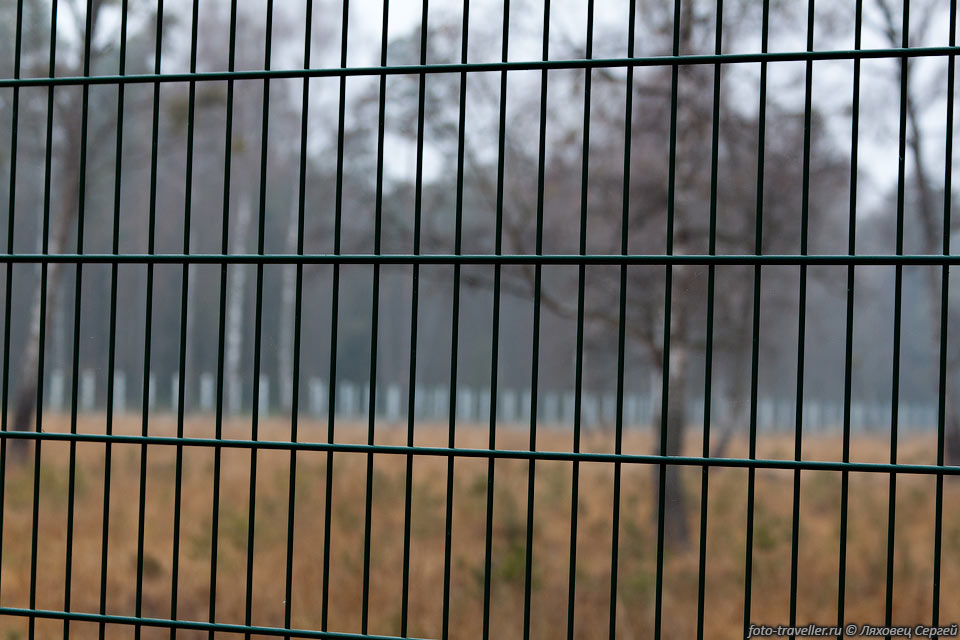 Вольеры с животными в Беловежской пуще.
Решетка мелкоячеистая, фотографировать плохо.