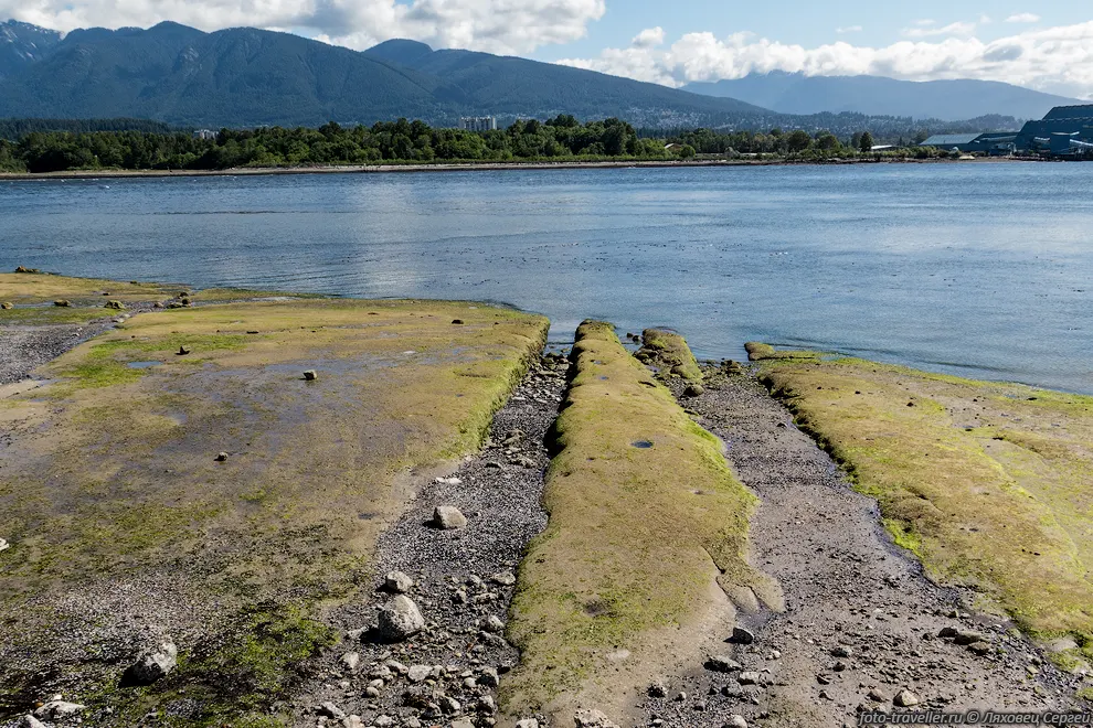 Залив Беррард (Burrard Inlet)