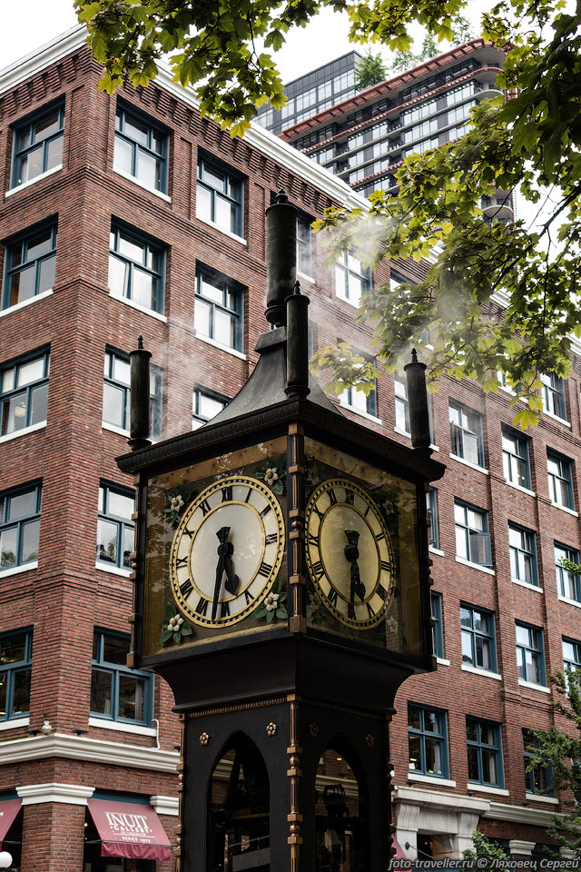 Паровые часы построены в 1977 году.
Состоят из множества сложных агрегатов.