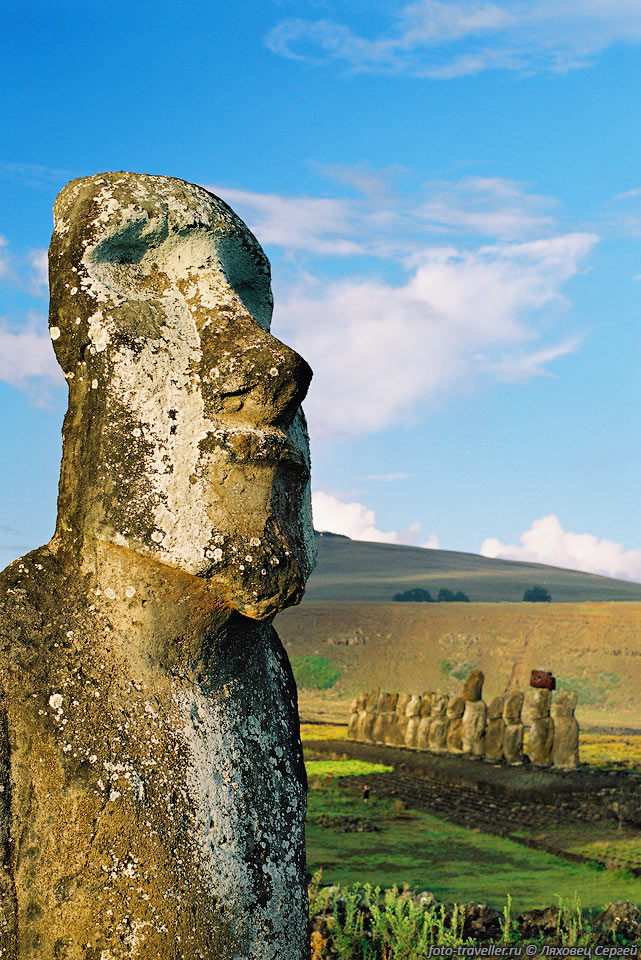 Аху Тонгарики расположена недалеко от кратера Рано Рараку, 
возможно поэтому тут и больше всего статуй.