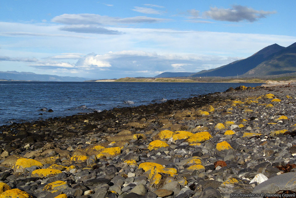 Вдоль берега пролива Бигль проходит желтая полоса покрытых лишайником 
камней