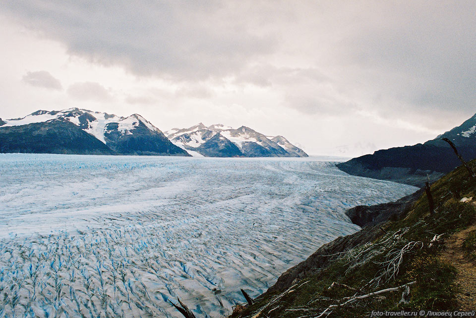 Ледяная река.
Огромный ледник Грей имеет длину 28 км и площадь 167 км2.