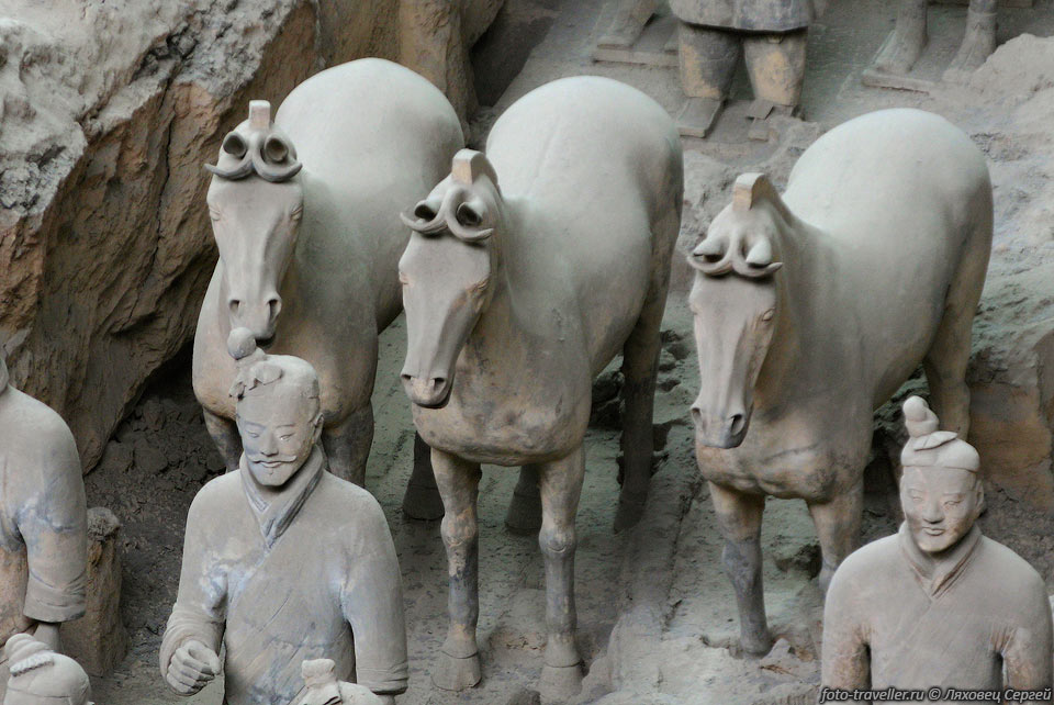 Воины и лошади Терракотовой армии были сделаны в различных районах 
Китая.