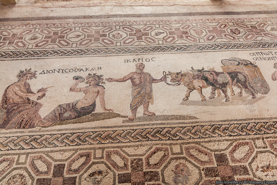Наиболее известные мозаики археологического парка Пафоса находятся 
в доме Диониса.
Это развалины жилища богатого горожанина Пафоса, относящихся к римскому времени.

Мозайки укрыты навесом, защищающим от непогоды.