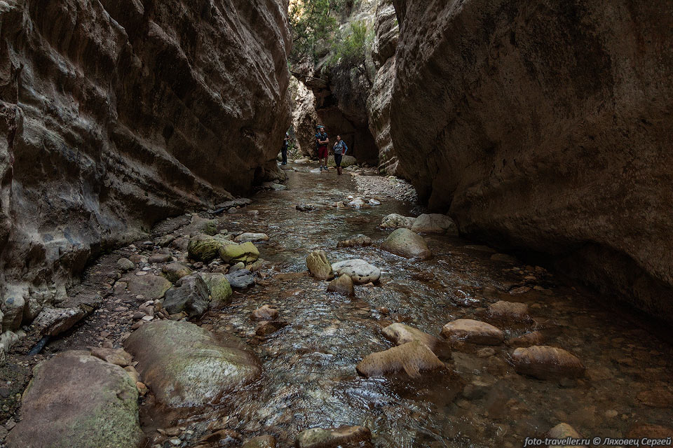 Ущелье Авакас (Avakas gorge) находится недалеко от Пафоса.
Подьехать можно на легковушке, но последний спуск довольно в плохом состоянии.
Есть родник с питьевой водой и место для парковки.
Длина каньона около 3 км, из них узкого каньона, в котором нужно идти по воде, не 
так много.