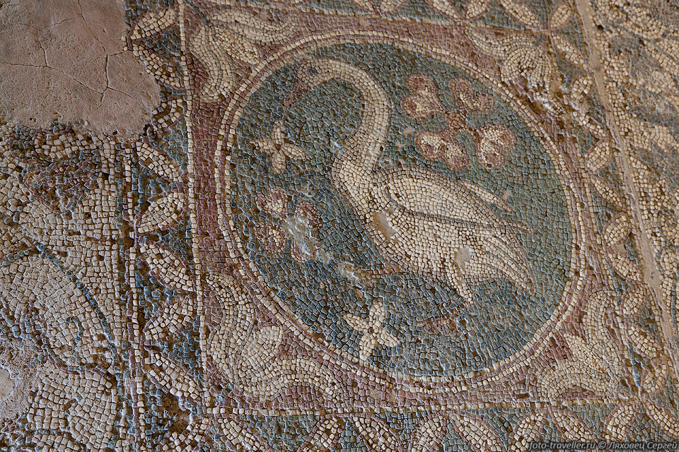 Мозайка в базилике в античном городе Солы (Соли, Soli Harabeleri).
Раннехристианская базилика 4 века, с полом украшеным мозаичными панно с изображениями 
животных и птиц.