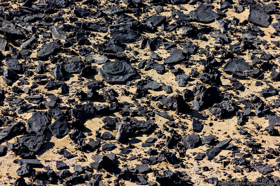 Черные камни.
Долерит - магматическая порода, близкая по своему составу к базальту. 